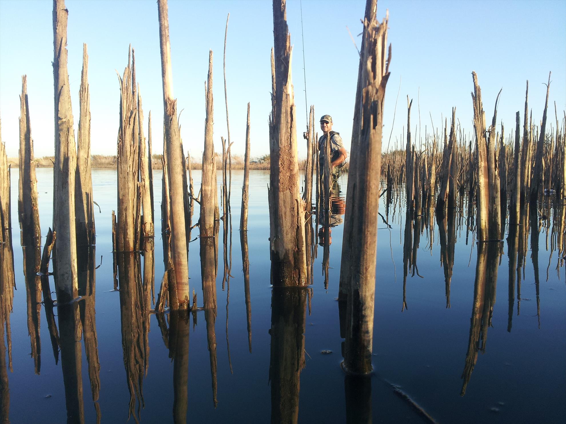 RAPITOR - 20131212185405.jpg